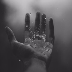 Shal - Arrival