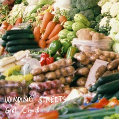 Winding Streets (demo)