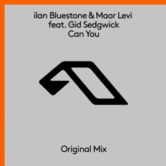 ilan Bluestone & Maor Levi feat. Gid Sedgwick - Can You