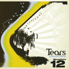 Kourosh Tazmini & Ricardo Mello - Tears (Mark Voxx Remix)