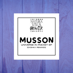 Musson - Universe in pocket (Original Mix)