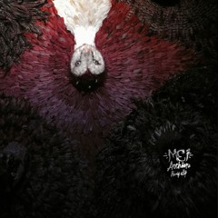 Mei - Archéen (Tarzan & Mei rmx)