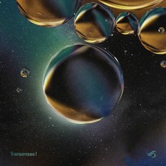 Carlos TK - Elysium (Original Mix)