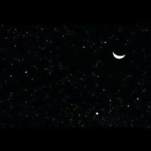 محمود شرقاوى ..زولي هوي 2015