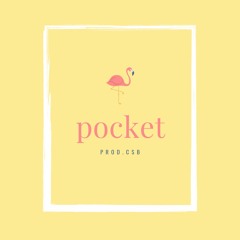 pocket
