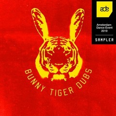 Anoite - Split Second [Bunny Tiger Dubs]