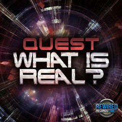 Quest - What Is Real