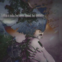 Valkyrie asks for more blood for Valhalla