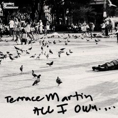 Terrace Martin - All I Own