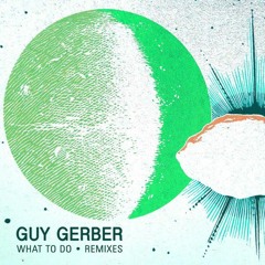 Guy Gerber- What To Do (&ME Remix) [Velaren Edit]