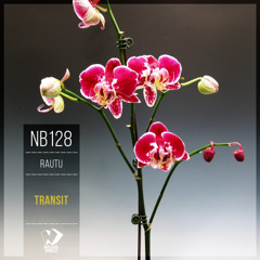 Rautu - Transit (Original Mix)