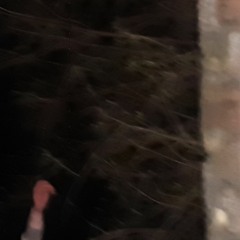 Mīkstmiesīgs uzmetums atteikumam