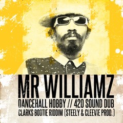 Mr Williamz - Dancehall Hobby Dubplate