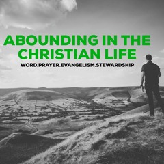 Pastor Destry McDonald - Abounding in the Word 1