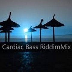 Cardiac Bass Riddim Mix by Dj Shawny
