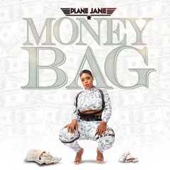 Plane Jane - Money Bag