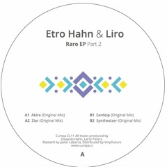 A2.Etro Hahn & Liro - Ziar