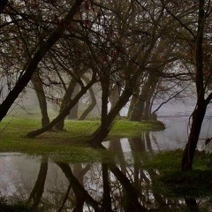 Dream - yvs (Prod. RankzBeats)