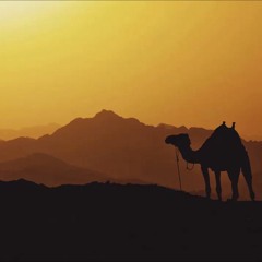 Donz - The Sun