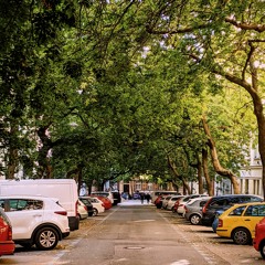 vinohradio episode 8