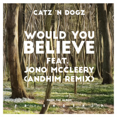 Would You Believe feat. Jono McCleery (andhim Remix)[PETS109]