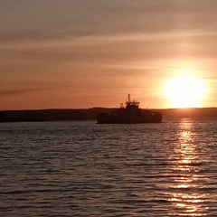 Razorlight g,w,a,g,t. Cover.wav