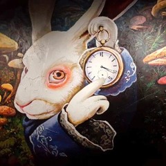 Follow The Rabbit, October 2019