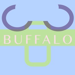 Dapayk Solo "Buffalo" (SonderlingBerlin005)