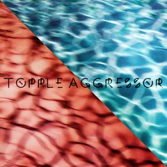 topple aggressor