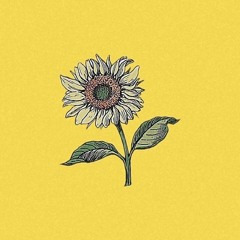 Sunshine - Chill Guitar Hip Hop Beat (FREE FOR PROFIT USE)