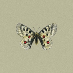 Letting Go - Sad Lofi Hip Hop Beat (FREE w/TRACK STEMS)