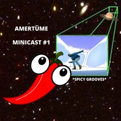 AMERTÜME'S MINICAST #1 - Spicy Grooves