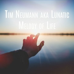 Tim Neumann Aka Lunatic - Melody Of Life