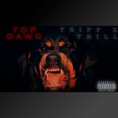 Top Dawg- Tripp X Trill