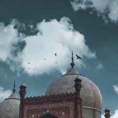 حَن الفؤادُ ⁦ • ‿ •