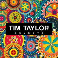 Tim Taylor Selects #006