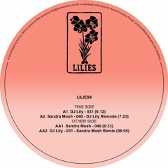DJ Lily - 031 (Sandra Mosh Remix) [LILIES4 | AA2 | Premiere]