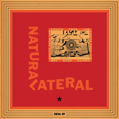 PREMIERE: Natural Lateral - Bossa Blue