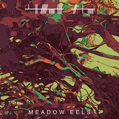 Meadow Eels