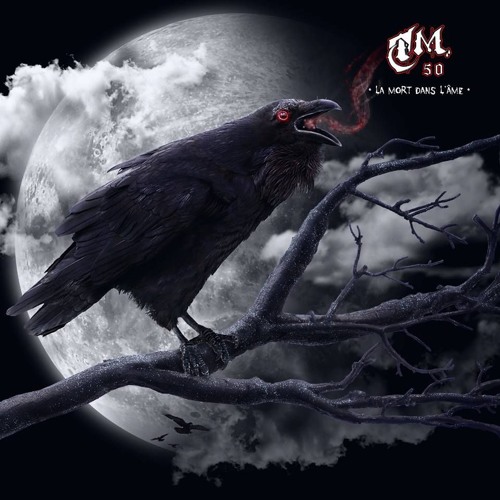 TM 50  A1 Mr Gasmask The Wooden Suit Rogue Mix