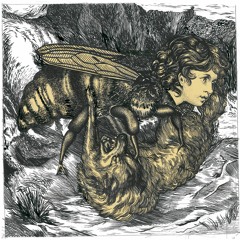 Hiveminds - De Brevitate Vitae