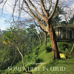 Somewhere In Ubud