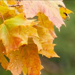 NÄR ISARNA SMÄLTER