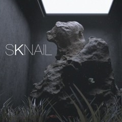 SKNAIL - Rooms (feat. Billie Bird)