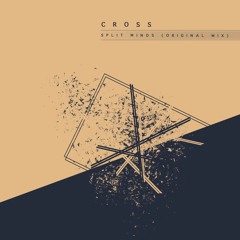 Cross - Split Minds (Original Mix)