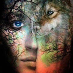 COYOTE