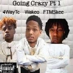 Going Crazy (Wakeo x Skee x 4WayTc)
