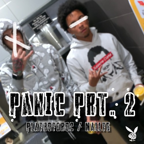 Panic Pt. 2 Ft. MallyG