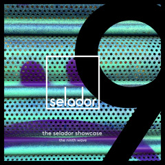 Premiere: Steve Parry - Waterfloor [Selador]