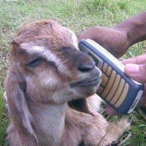 SWANG (GOAT SIMULATOR REMIX)